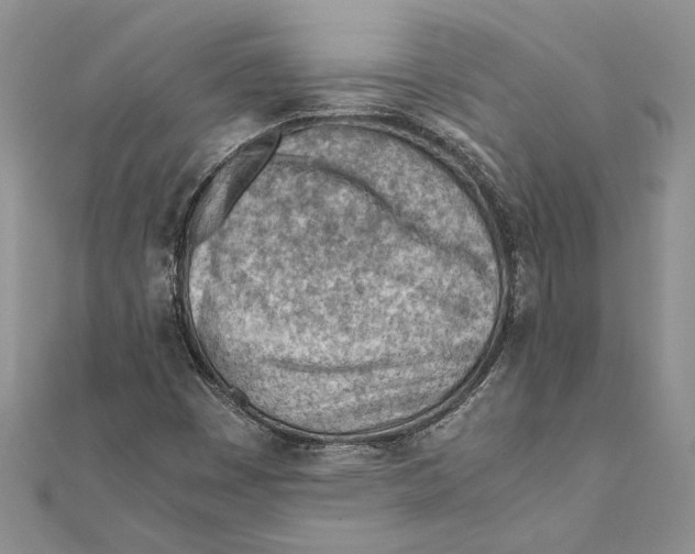 X0000111391449200908071246