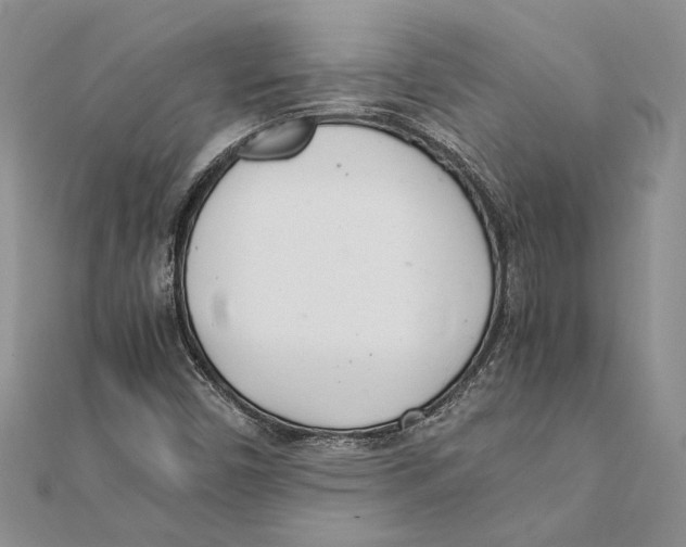 X0000111391450200908071246