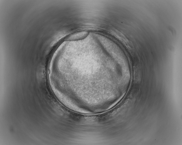 X0000111391453200908071246