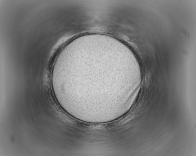 X0000111391454200908071246
