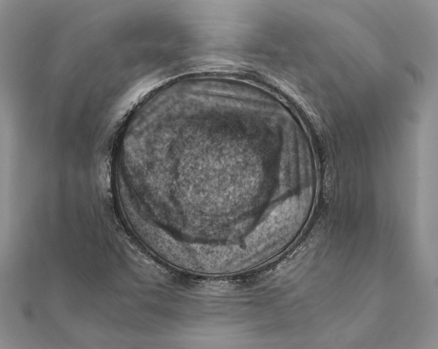 X0000111391455200908071246