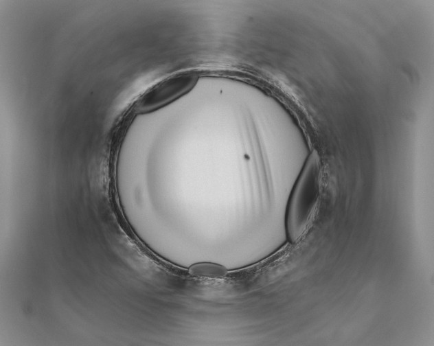 X0000111391456200908071245