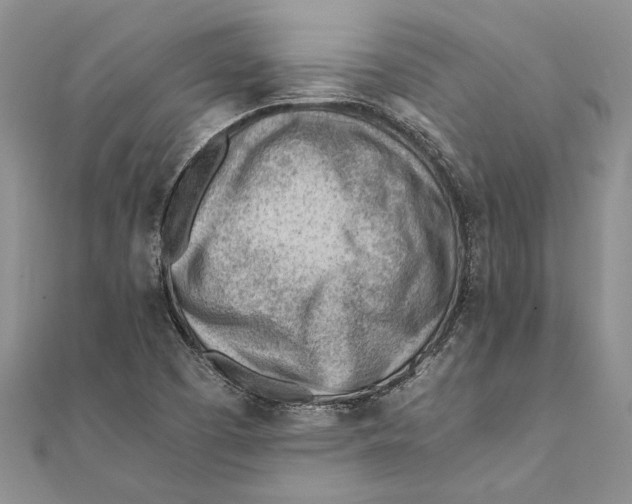 X0000111391457200908071245