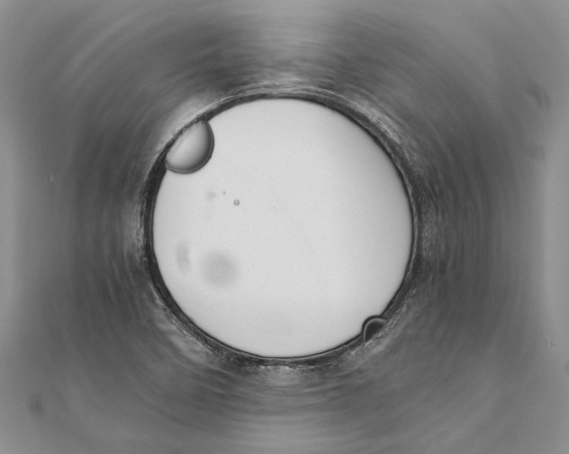 X0000111391458200908071245