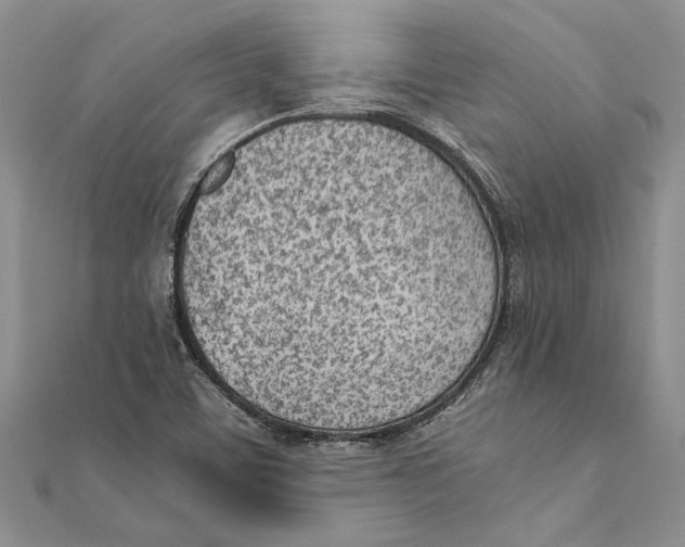 X0000111391459200908071245