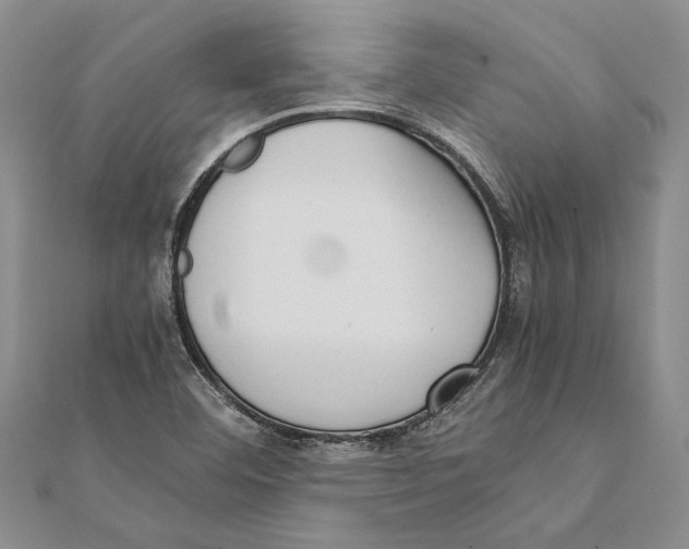 X0000111391460200908071245