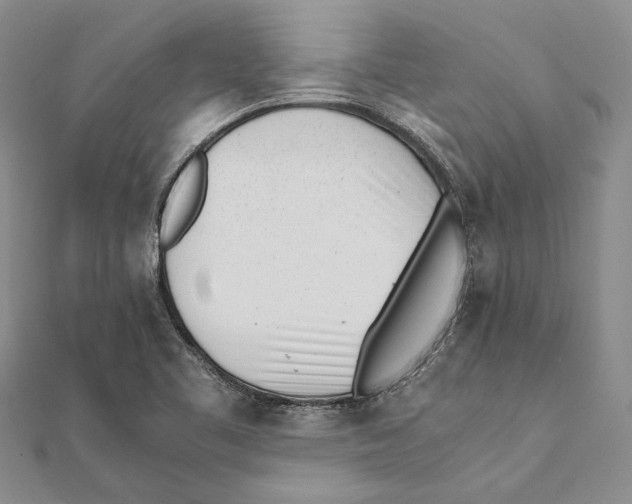 X0000111391461200908071245