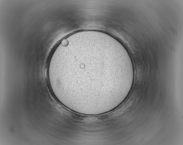 X0000111391462200908071245