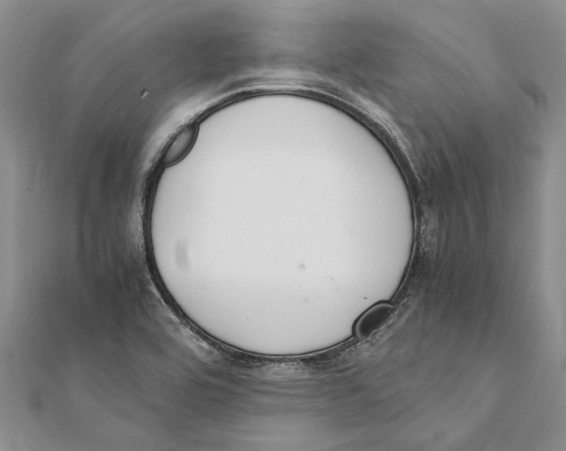 X0000111391464200908071245