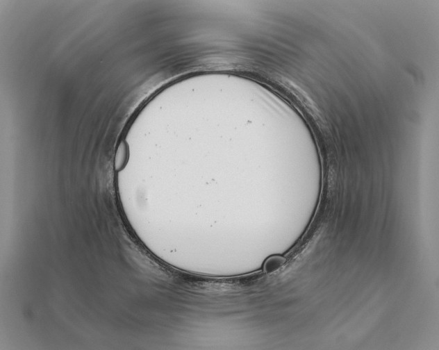 X0000111391465200908071245