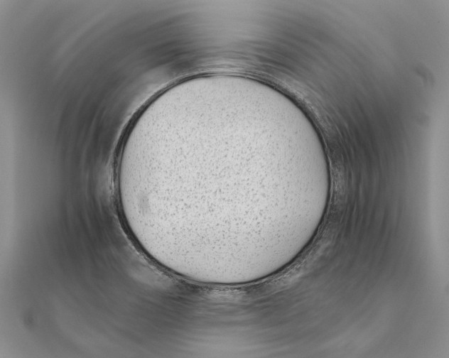 X0000111391466200908071245