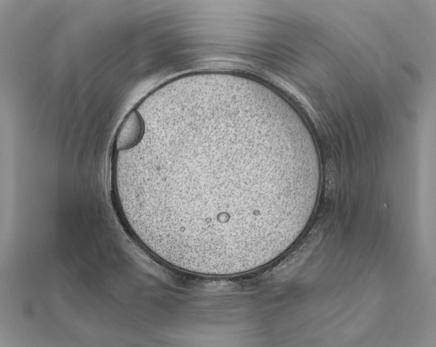 X0000111391467200908071245