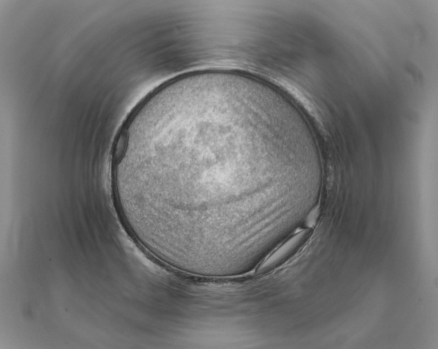 X0000111391468200908071245