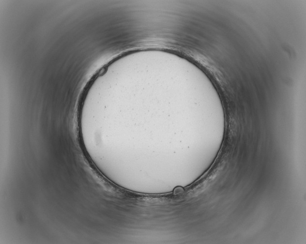 X0000111391469200908071245