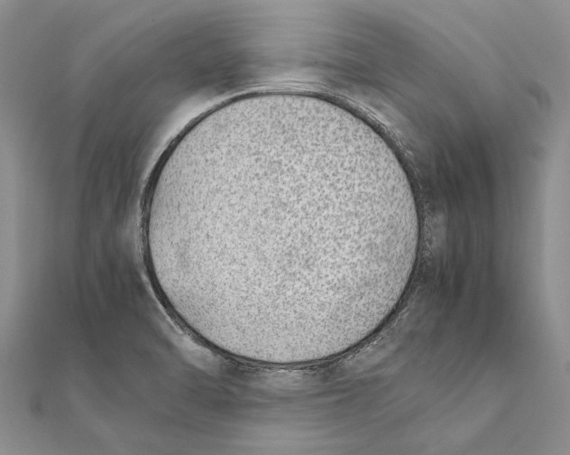 X0000111391470200908071245