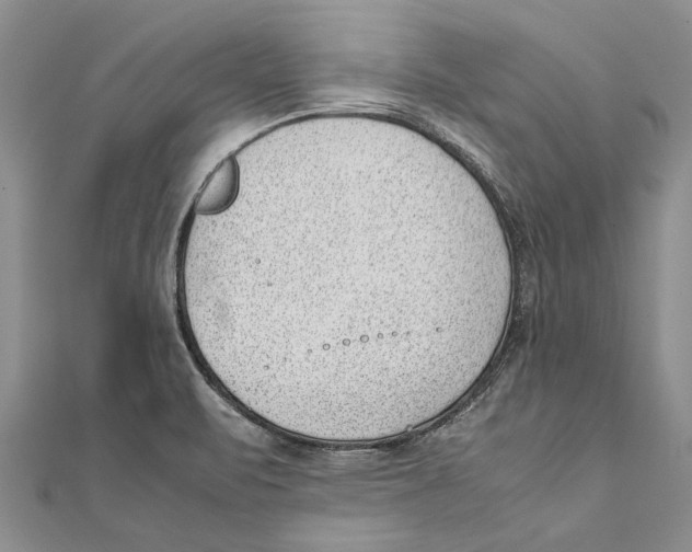 X0000111391471200908071245