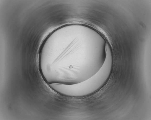 X0000111391472200908071245