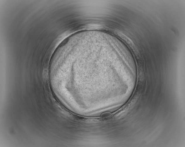 X0000111391473200908071245