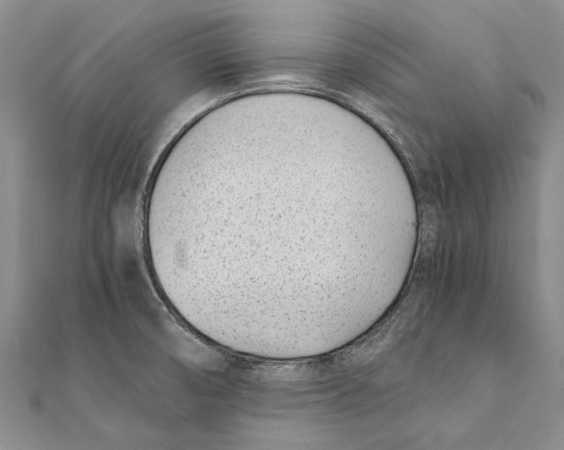 X0000111391474200908071245