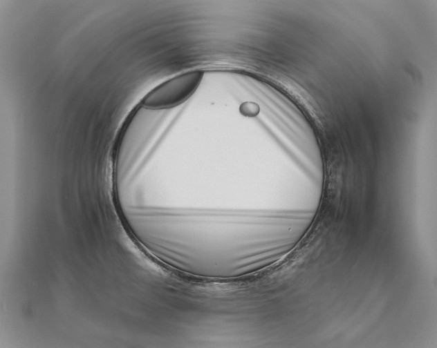 X0000111391476200908071245