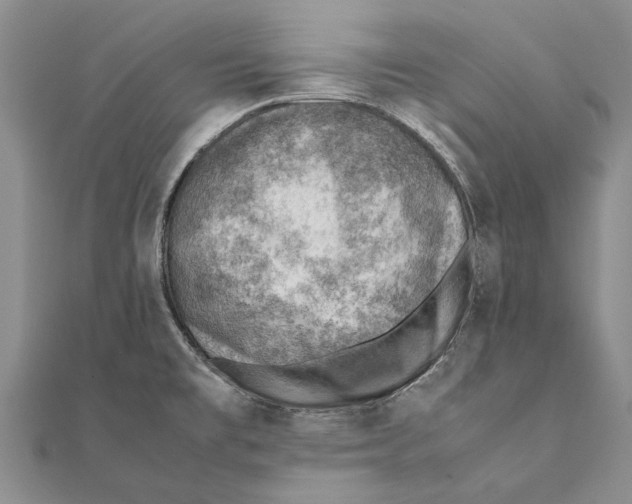 X0000111391477200908071245