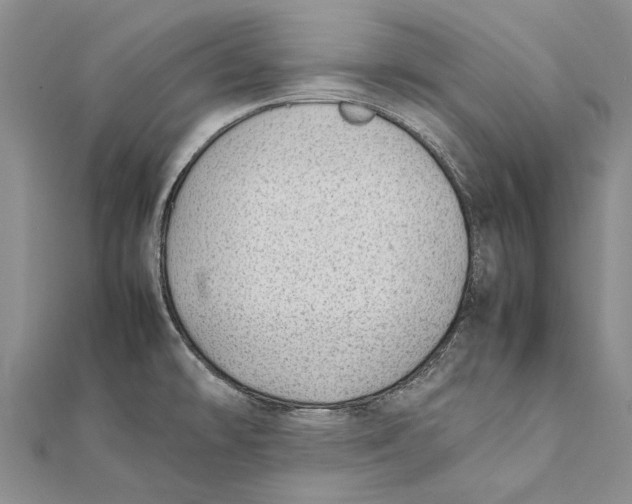 X0000111391478200908071245