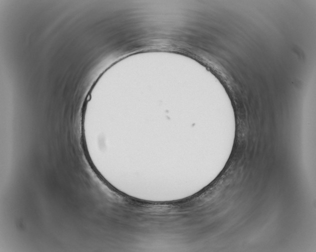 X0000111391479200908071245