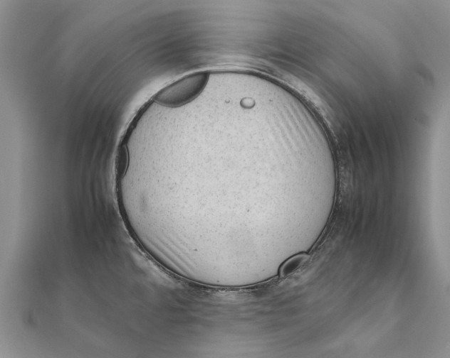 X0000111391480200908071245