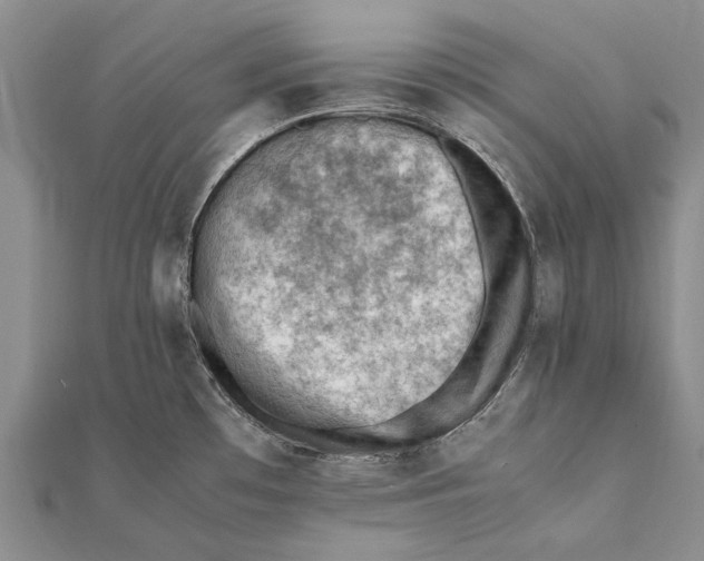 X0000111391481200908071245
