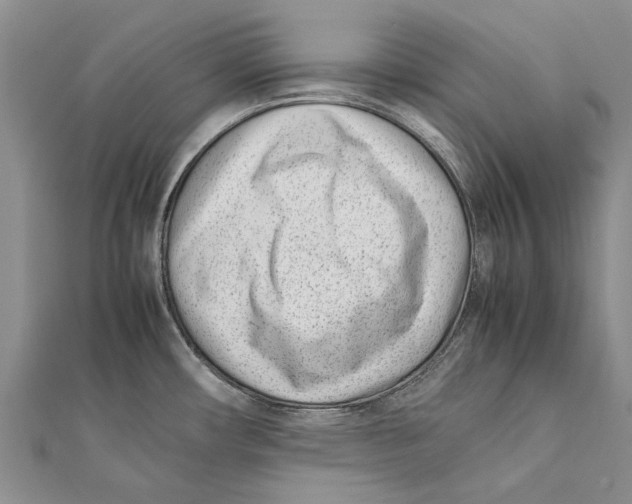 X0000111391482200908071245