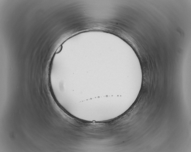 X0000111391483200908071245