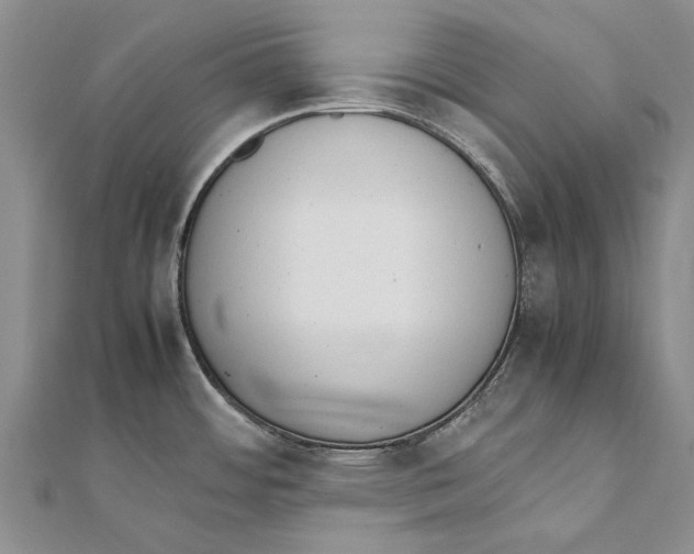 X0000111391484200908071245