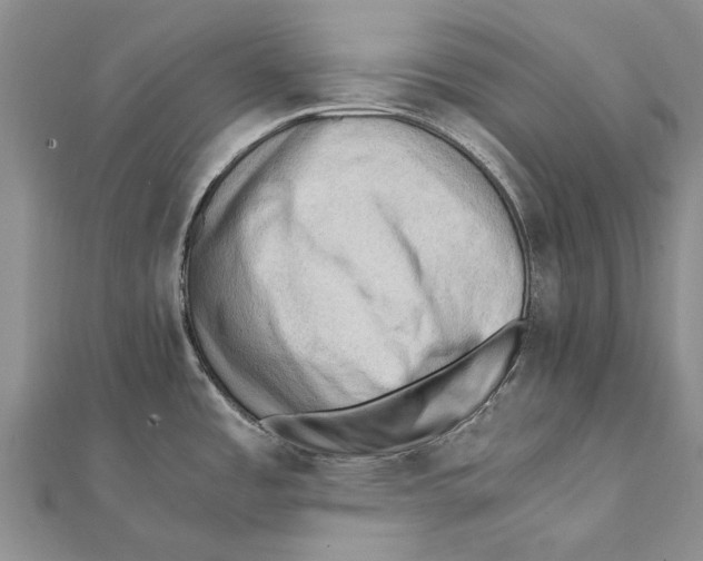 X0000111391485200908071245