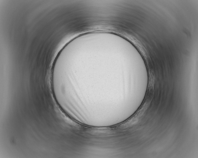 X0000111391486200908071245