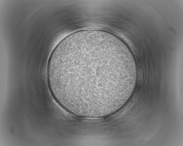 X0000111391487200908071245