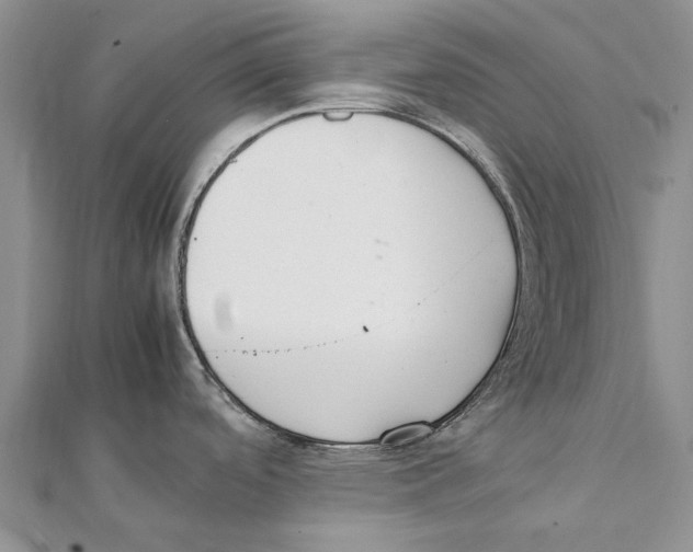 X0000111391488200908071245