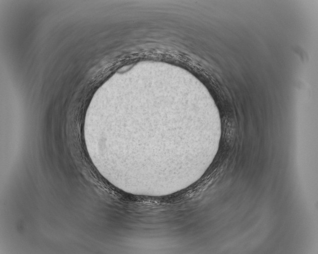 X0000111391489200908071244