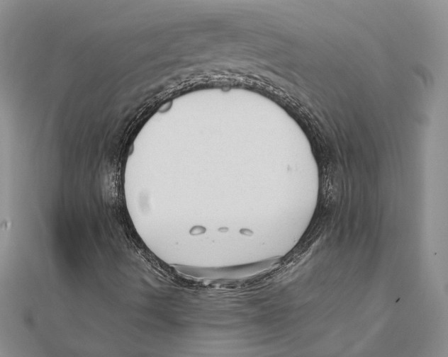 X0000111391490200908071244