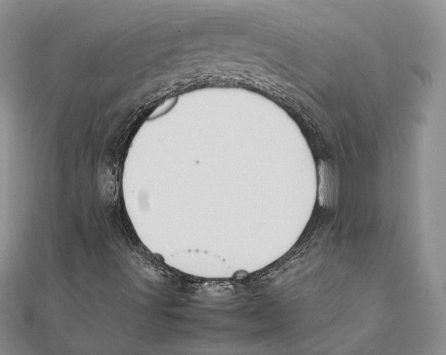 X0000111391491200908071244