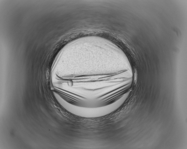 X0000111391492200908071244