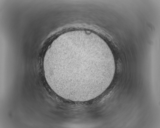 X0000111391494200908071244