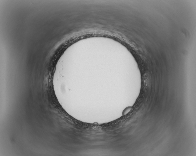 X0000111391495200908071245