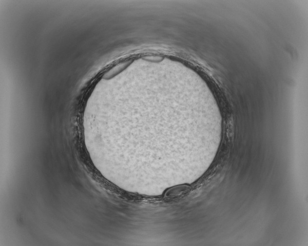 X0000111391496200908071245