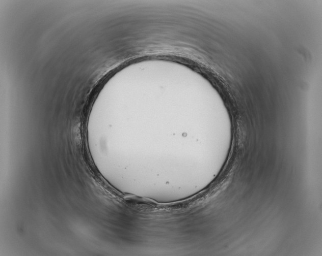 X0000111391497200908071245