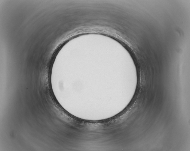 X0000111391498200908071245