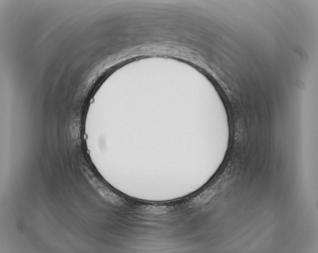 X0000111391499200908071245