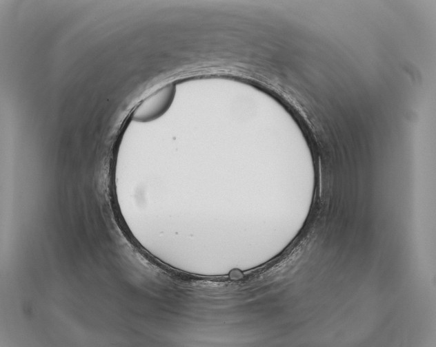 X0000111391500200908071245