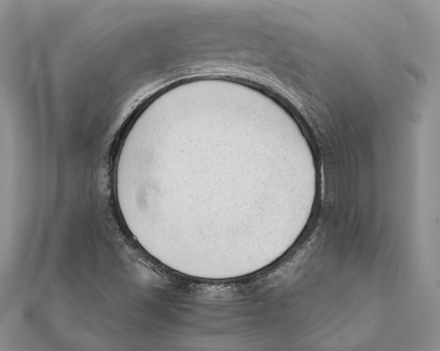 X0000111391501200908071245