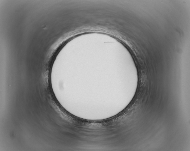 X0000111391503200908071245