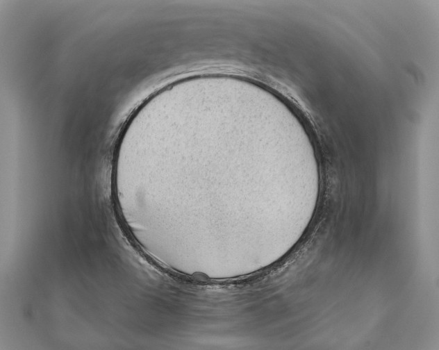 X0000111391504200908071245